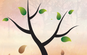 Conseil du mois de novembre