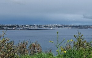 Sondage sortie printanière