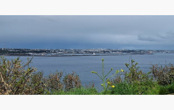 Sondage sortie printanière