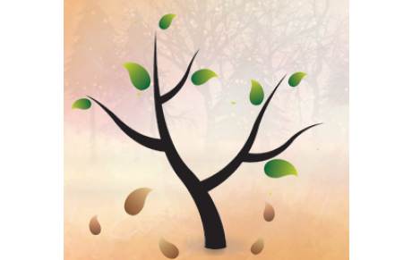 Conseil du mois de novembre