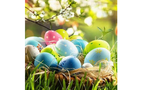 Conseil du mois d'avril